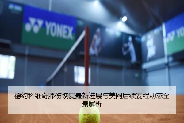 德约科维奇膝伤恢复最新进展与美网后续赛程动态全景解析